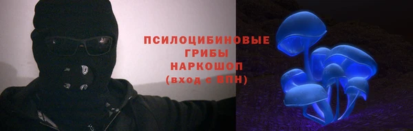 стаф Абаза