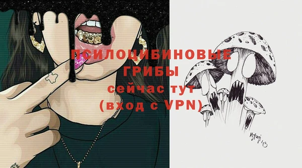 стаф Абаза