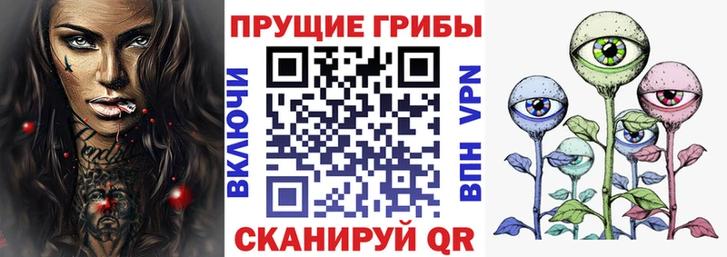 Псилоцибиновые грибы Psilocybe  как найти наркотики  это клад  Александров 